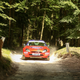 Illustration for article titled Tons Of Classic Rally Cars? Tons Of Classic Rally Cars!
